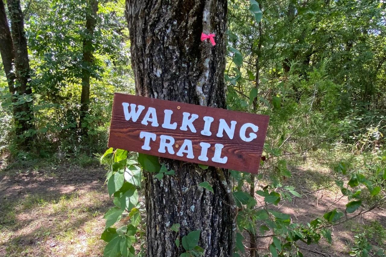 The Woods Lodging Kingston 外观 照片