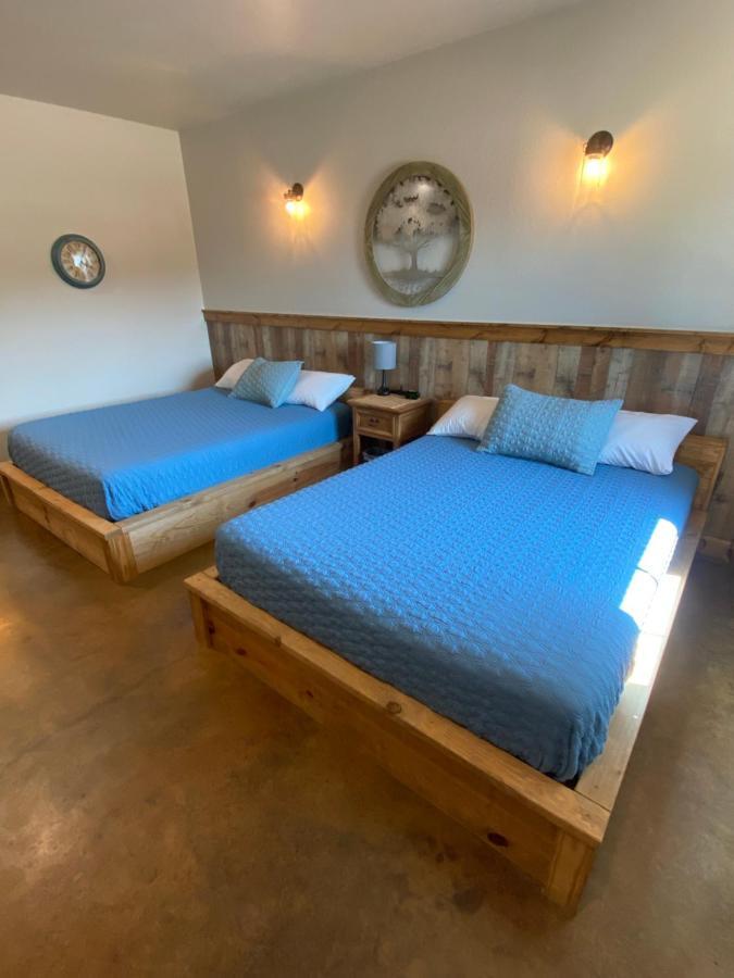 The Woods Lodging Kingston 客房 照片